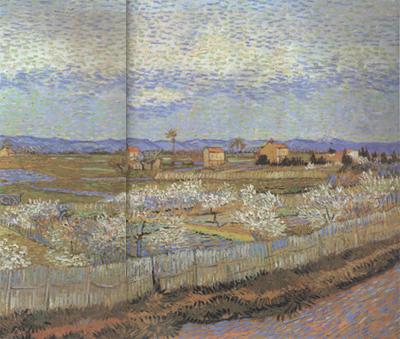 Vincent Van Gogh La Crau with Peach Trees in Blossom (nn04) china oil painting image